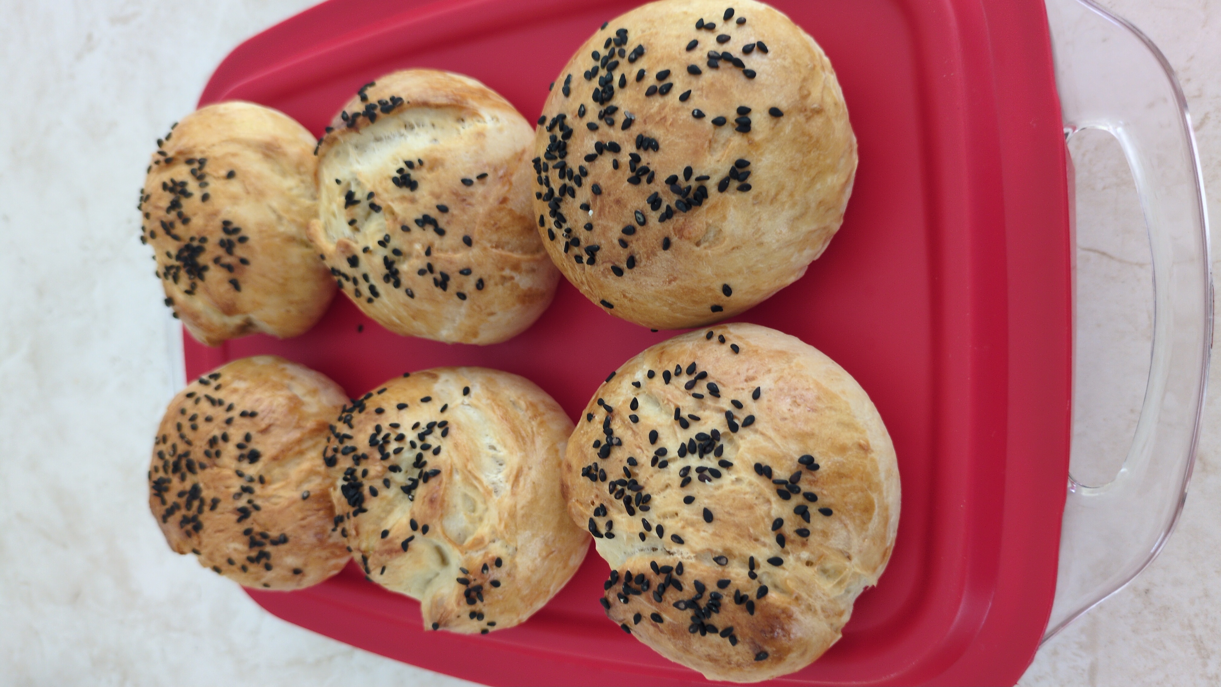 Burger Buns Chia